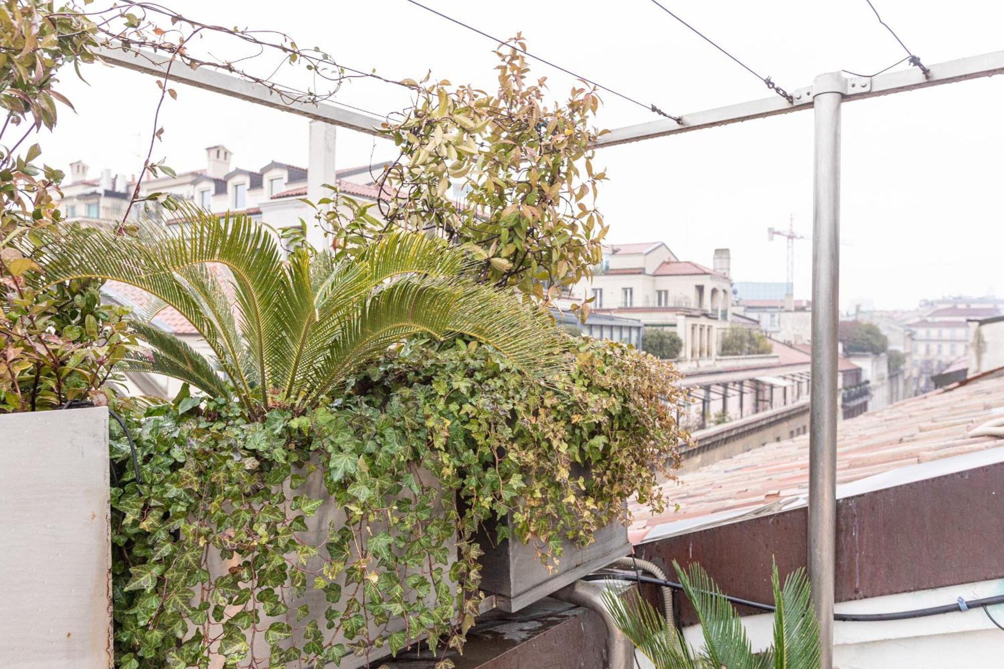 Monte Napoleone Split-Level Terrace Apartment - Top Collection Milano Dış mekan fotoğraf